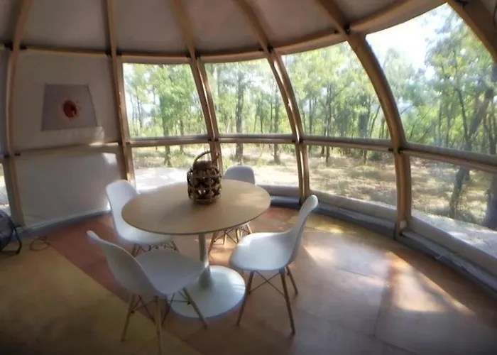 Zecamping 3 Pataugeoire Et Piscine Pet Friendly Et Soirees Animees Chalet Saint-Cirq-Lapopie