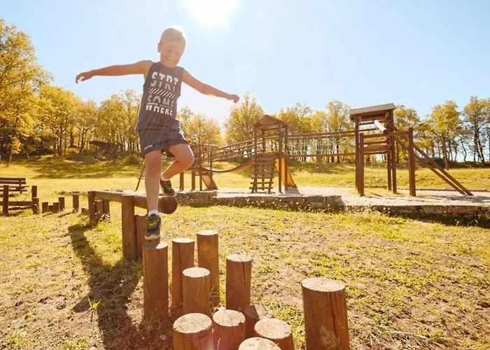 Zecamping 3 Pataugeoire Et Piscine Pet Friendly Et Soirees Animees Chalet