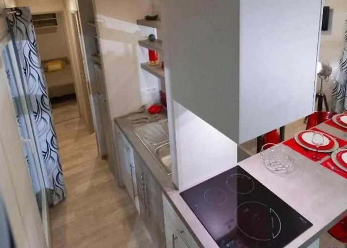 Zecamping 3 Pataugeoire Et Piscine Pet Friendly Et Soirees Animees Chalet