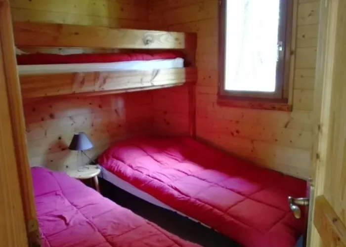 Zecamping 3 Pataugeoire Et Piscine Pet Friendly Et Soirees Animees