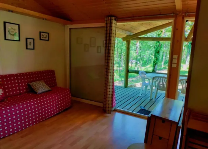 Zecamping 3 Pataugeoire Et Piscine Pet Friendly Et Soirees Animees *