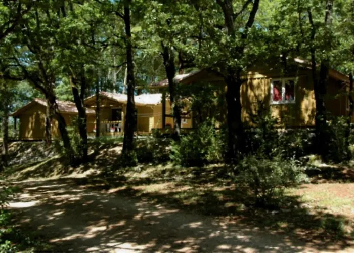 Zecamping 3 Pataugeoire Et Piscine Pet Friendly Et Soirees Animees Saint-Cirq-Lapopie