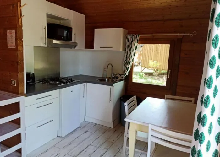 Zecamping 3 Pataugeoire Et Piscine Pet Friendly Et Soirees Animees