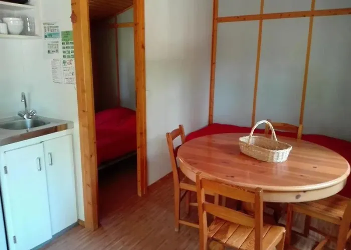 Zecamping 3 Pataugeoire Et Piscine Pet Friendly Et Soirees Animees *